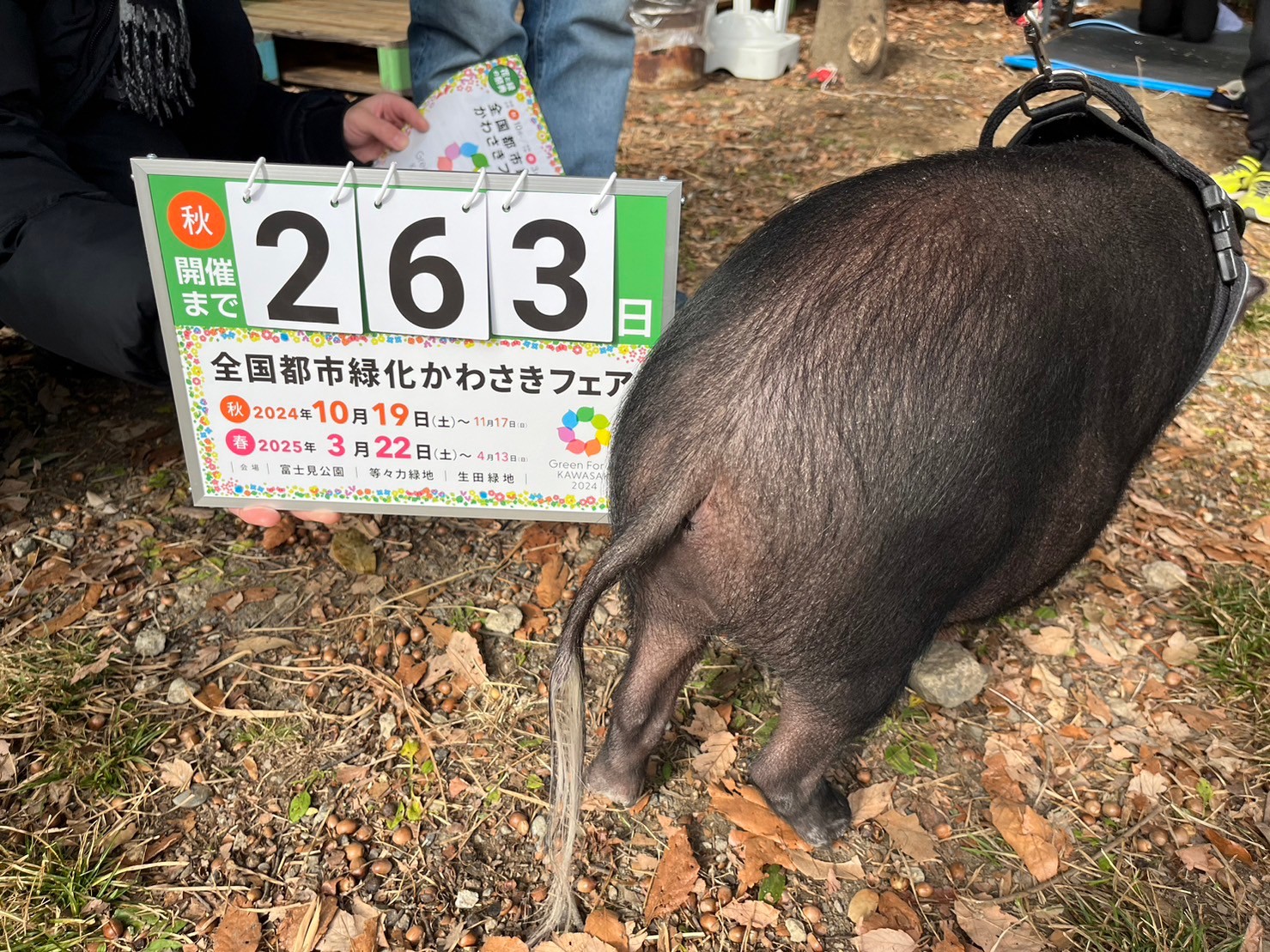 countdown_20240130