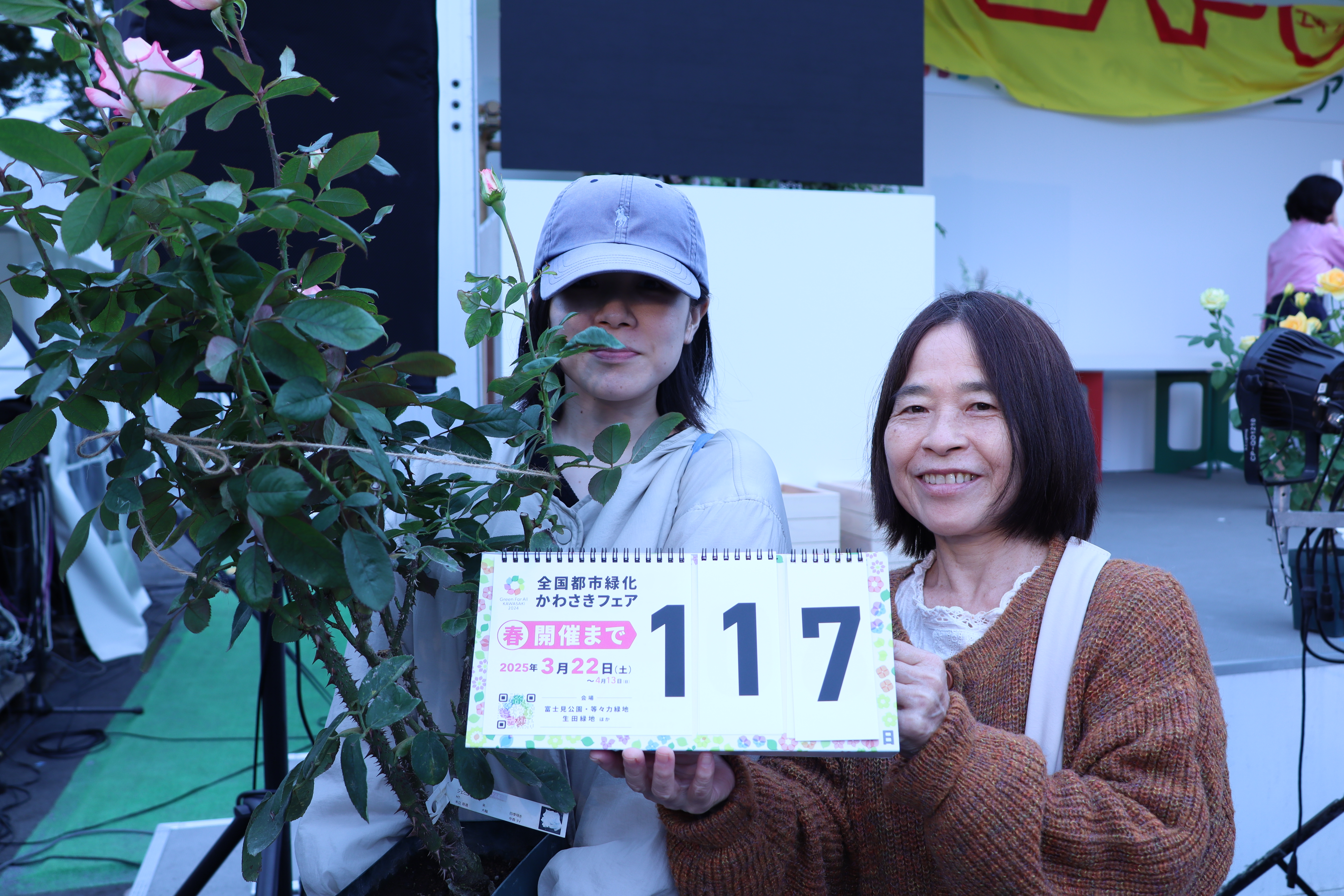 countdown_20241125