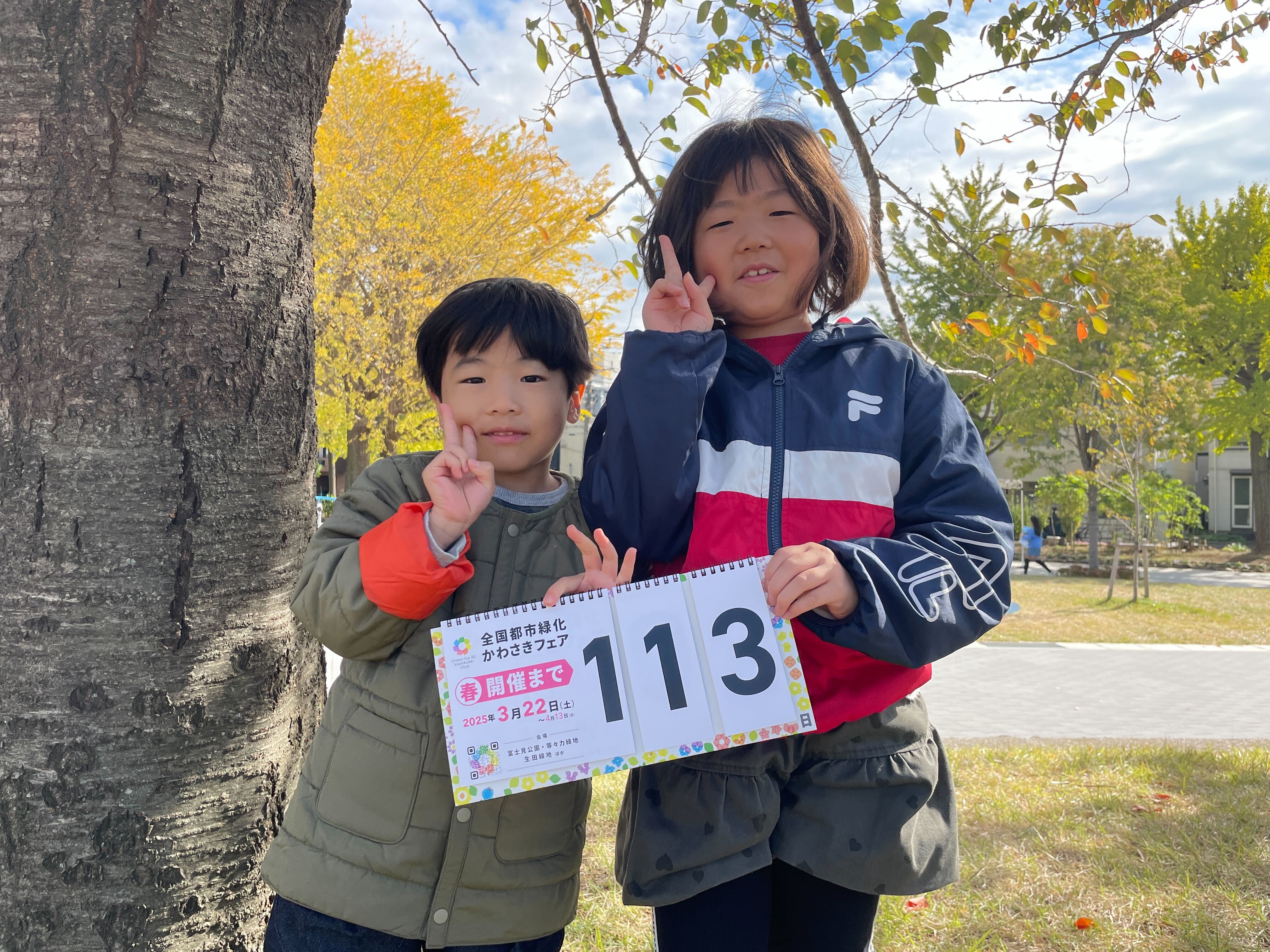 countdown_20241129