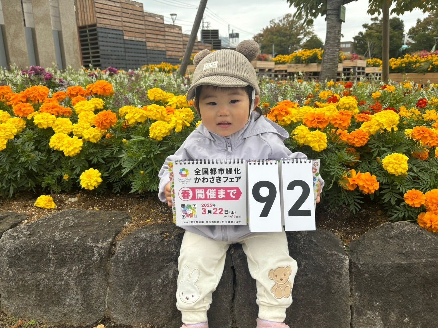 countdown_20241220