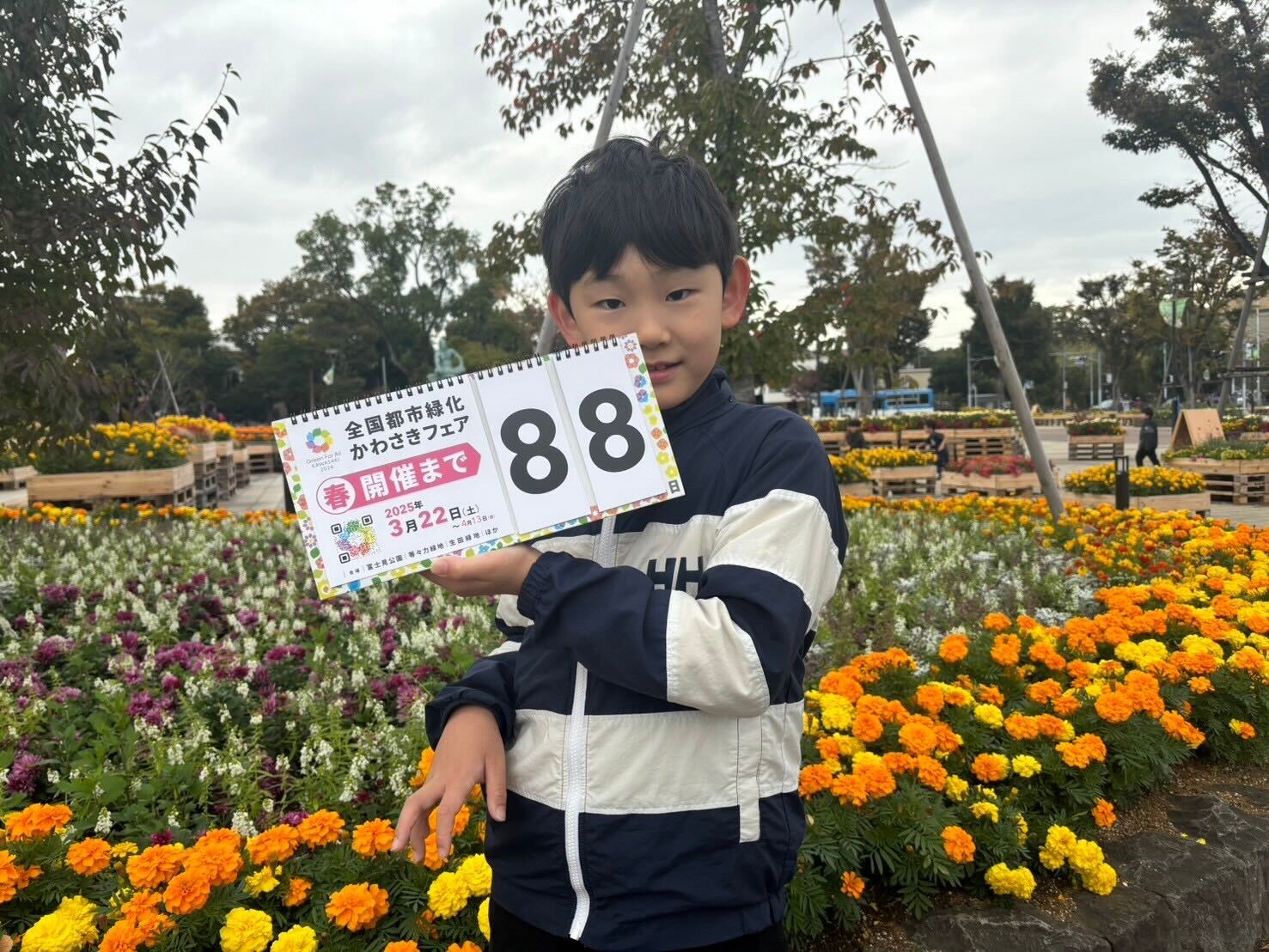 countdown_20241224